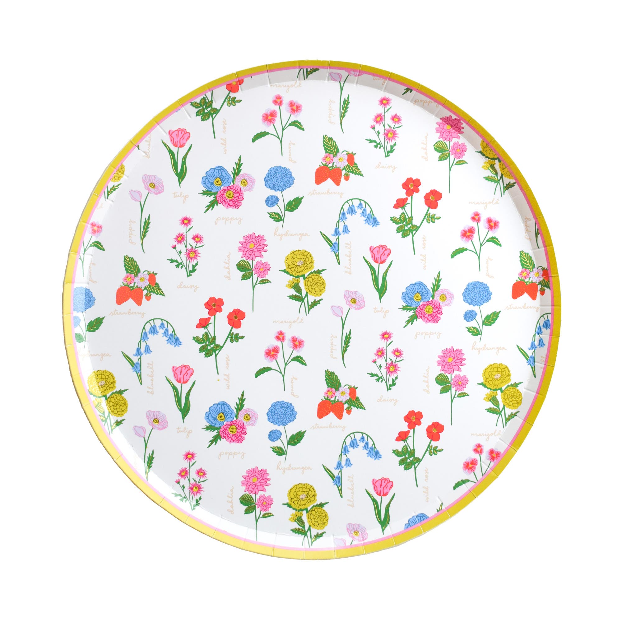 Dinner Plates (Gold Rim)