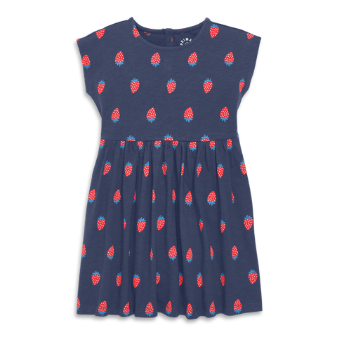 Kids Backyard Dress In Strawberry Fields (Toddler, Little Kid, & Big Kid)