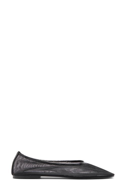Steve Madden Meadow Flat In Black