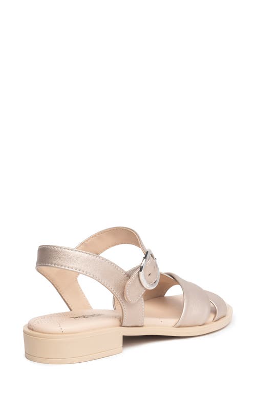 Nerogiardini Ankle Strap Sandal In Gold