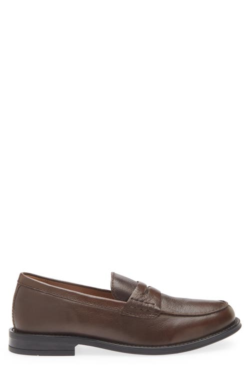 Steve Madden Draggo Penny Loafer In Brown