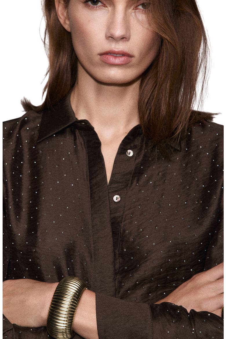Rhinestone Satin Button-Up Shirt, Alternate, color, BROWN