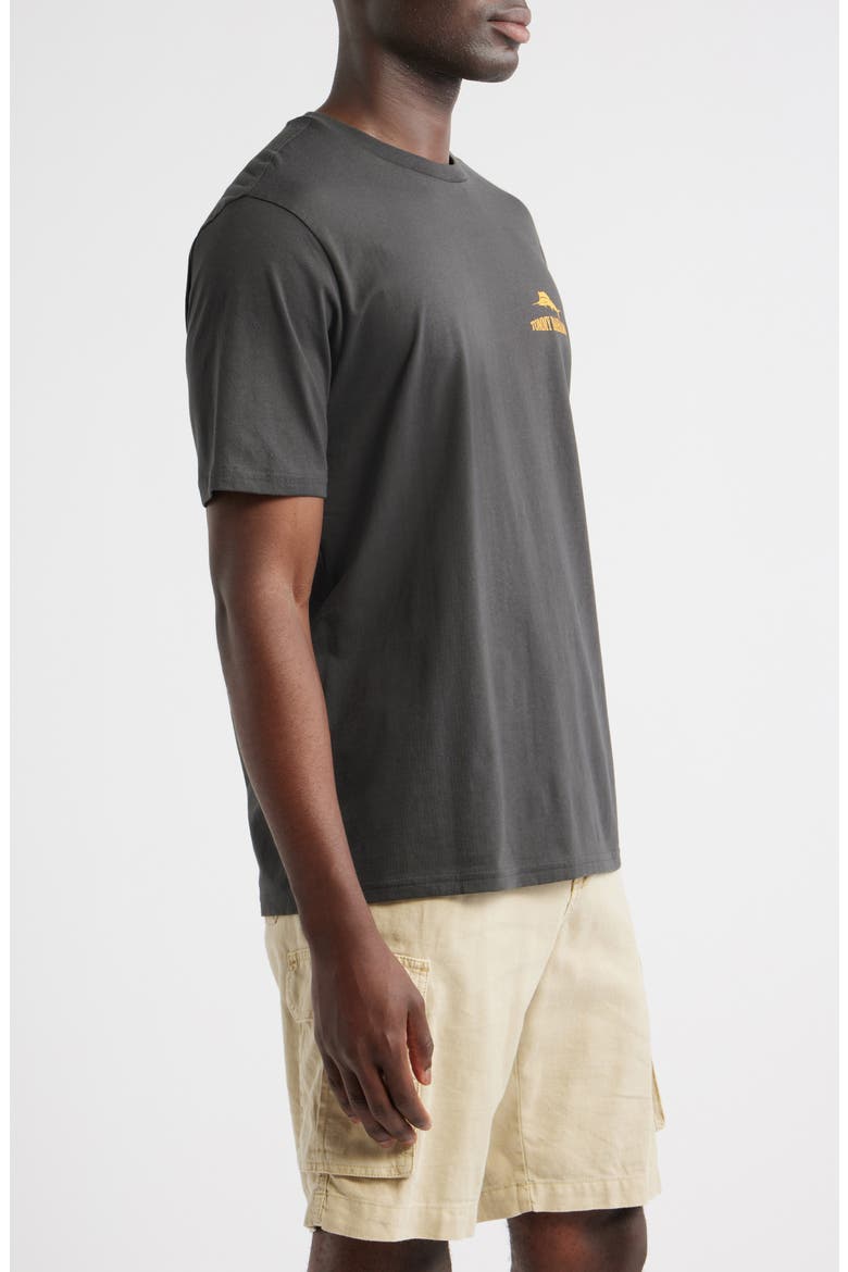 Golden Labation Graphic T-Shirt, Alternate, color, COAL