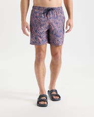Salt Life Sandbar Sunday Boardshorts