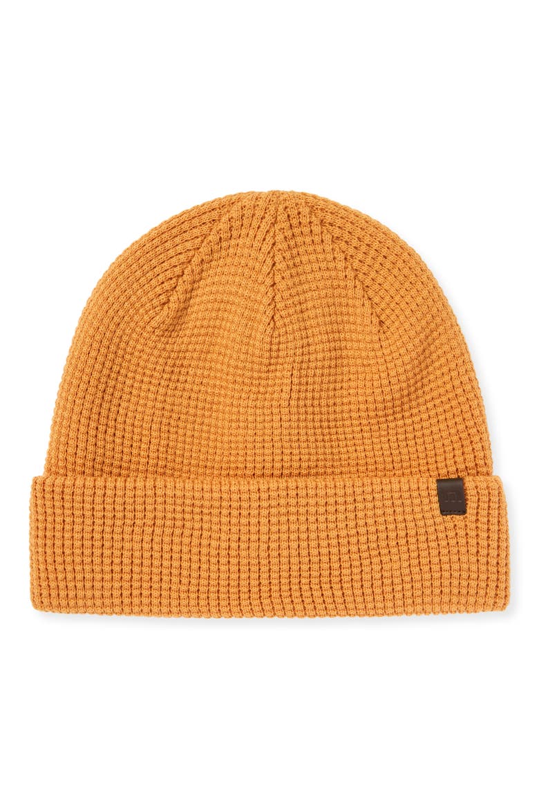 Cloud Waffle Beanie, Main, color, SPRUCE YELLOW