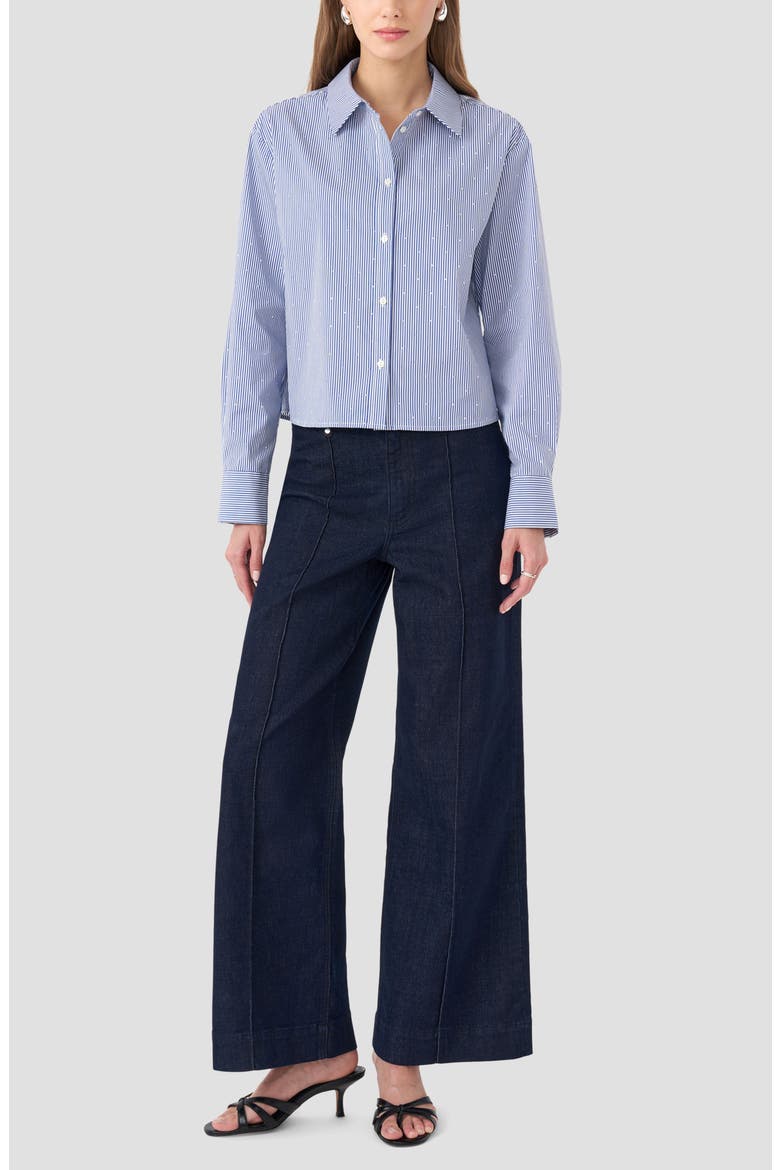 Boxy Stripe Button-Up Shirt, Alternate, color, BLUE STRIPE