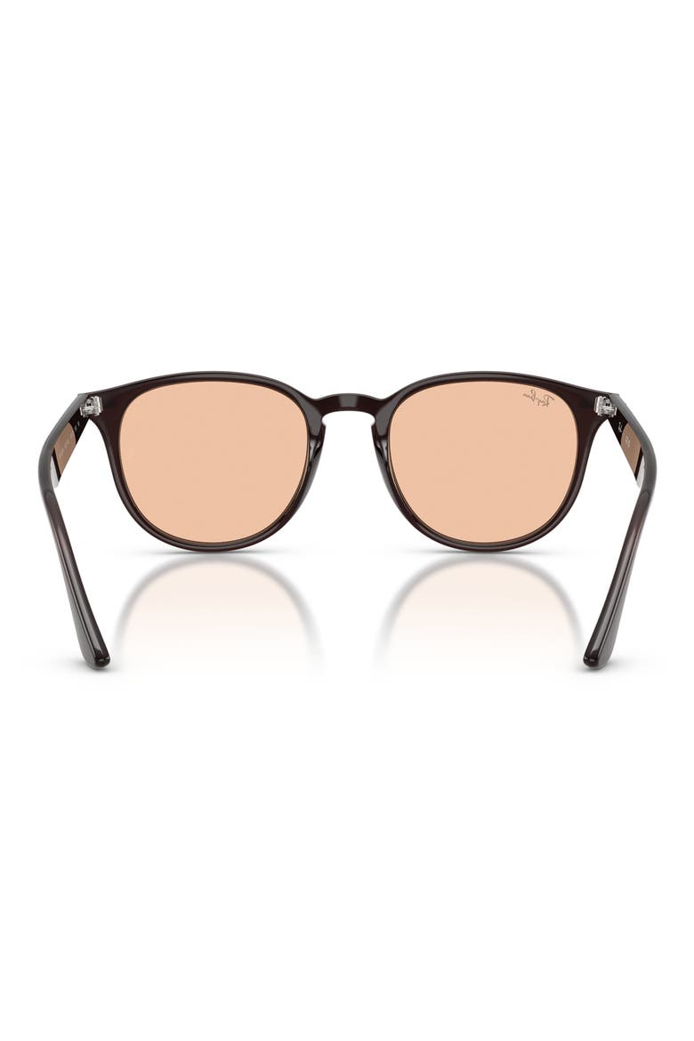 50mm Phantos Sunglasses, Alternate, color, TRANSPARENT BROWN / BROWN