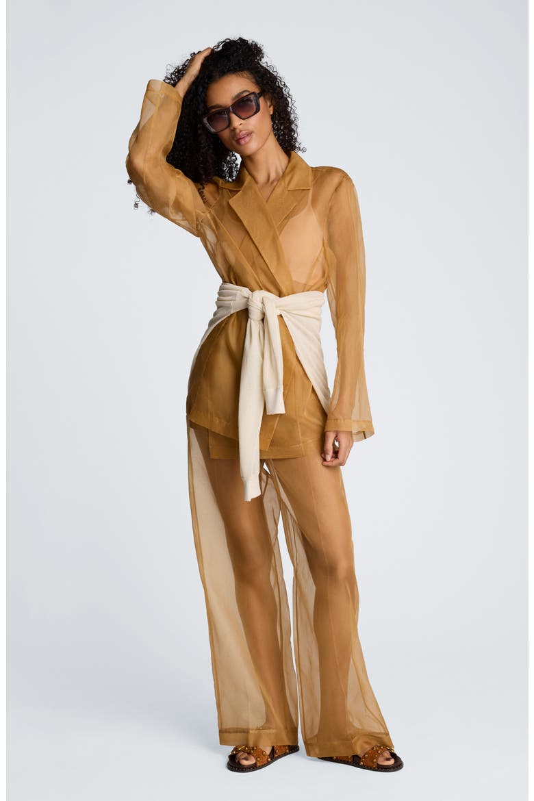 One-Button Sheer Jacket, Alternate, color, MESQUITE