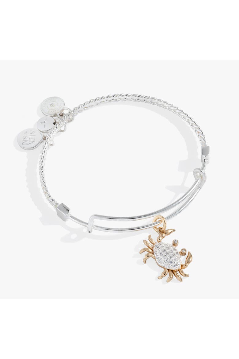 Textured Crab Charm Bangle, Main, color, Silver