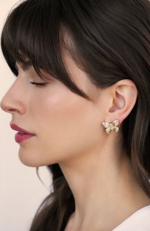 Ettika Butterfly Stud Earrings