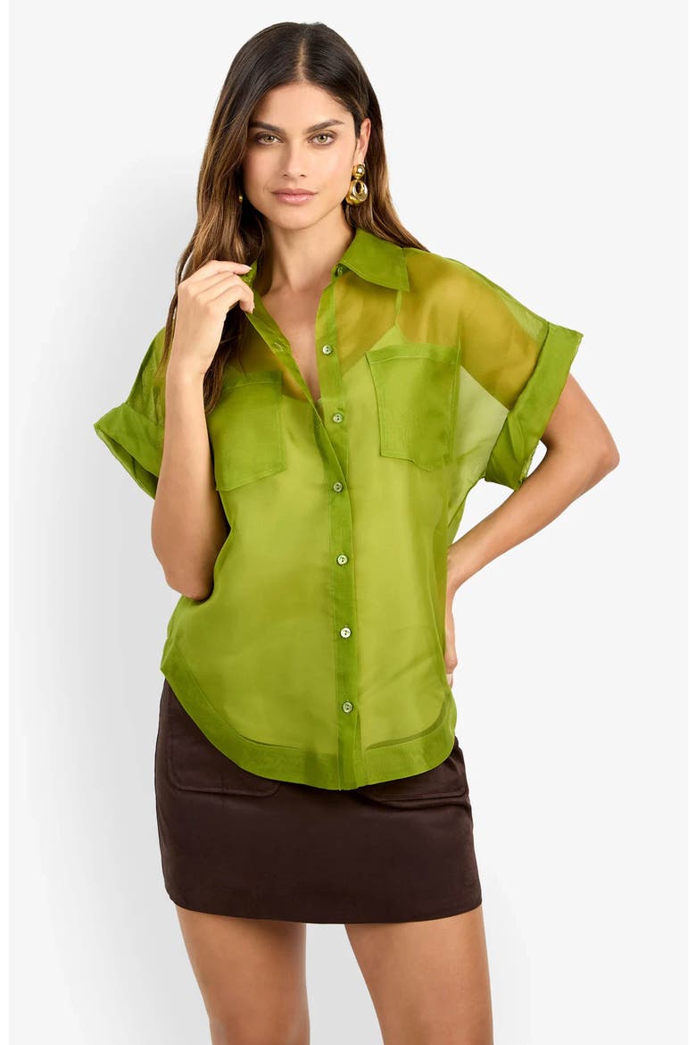 Costanzo Top, Alternate, color, Dark Fennel