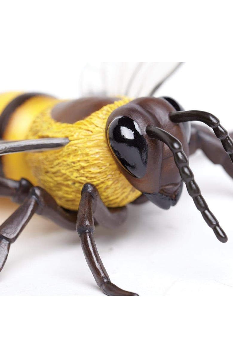Safari Ltd. Honey Bee Toy, Alternate, color, NO COLOR