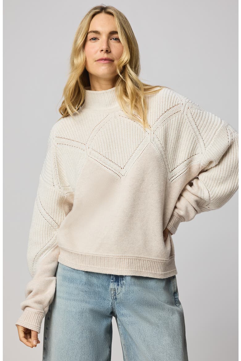 Grethen Turtleneck Sweater, Alternate, color, PALE OAK WHITE/ BROWN