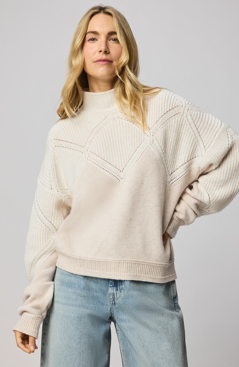 Splendid Grethen Turtleneck Sweater, Alternate, color, Pale Oak White/ Brown