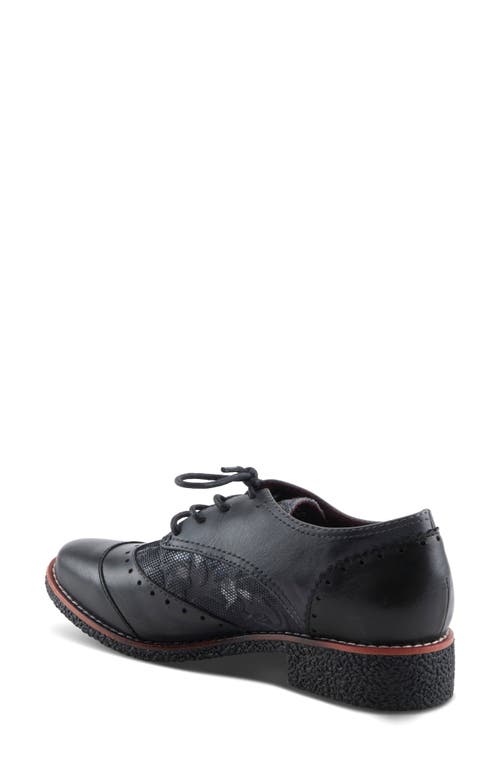 L'artiste By Spring Step Bargiasti Derby In Multi