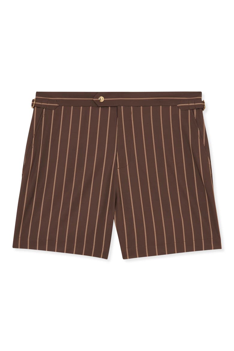 Presley Stripe Side Adjuster Swim Trunks, Alternate, color, DARK BROWN
