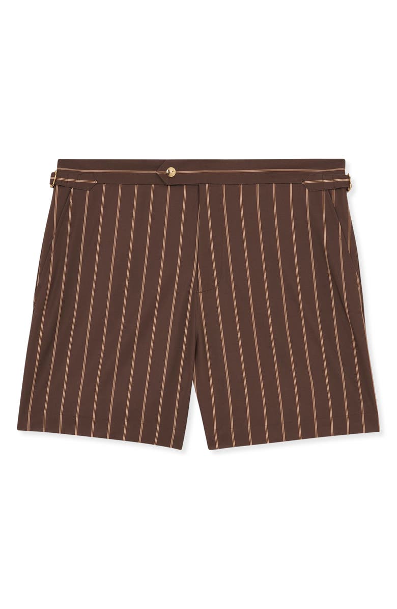 Reiss Presley Stripe Side Adjuster Swim Trunks, Alternate, color, Dark Brown