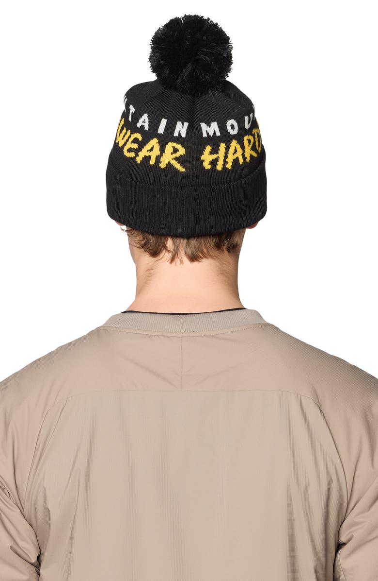 Mountain Hardwear Aprespro Pom Beanie, Alternate, color, Black