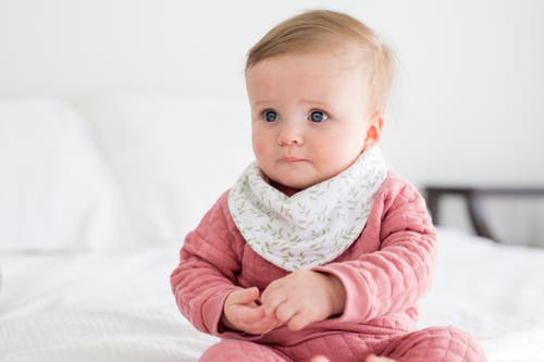 LULUJO LULUJO BANDANA BIBS 2 PACK