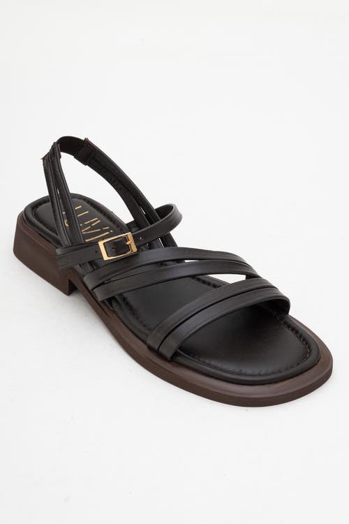 Forever & Always Shoes Cesar Leather Sandals in Dark Brown Leather at Nordstrom, Size 8
