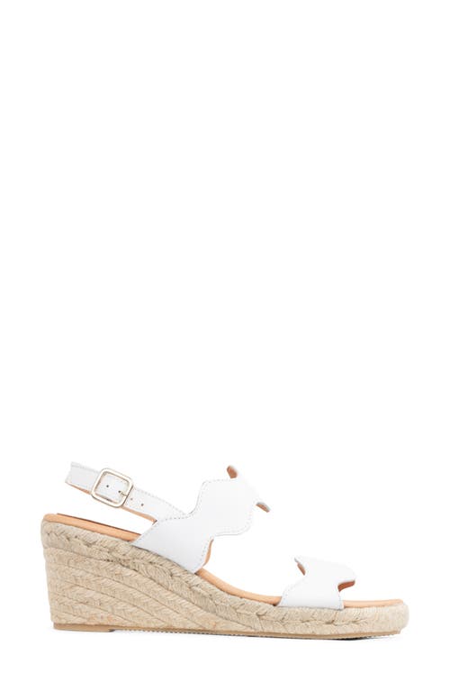 Shop Patricia Green Palm Beach Wedge Sandal In White Leather