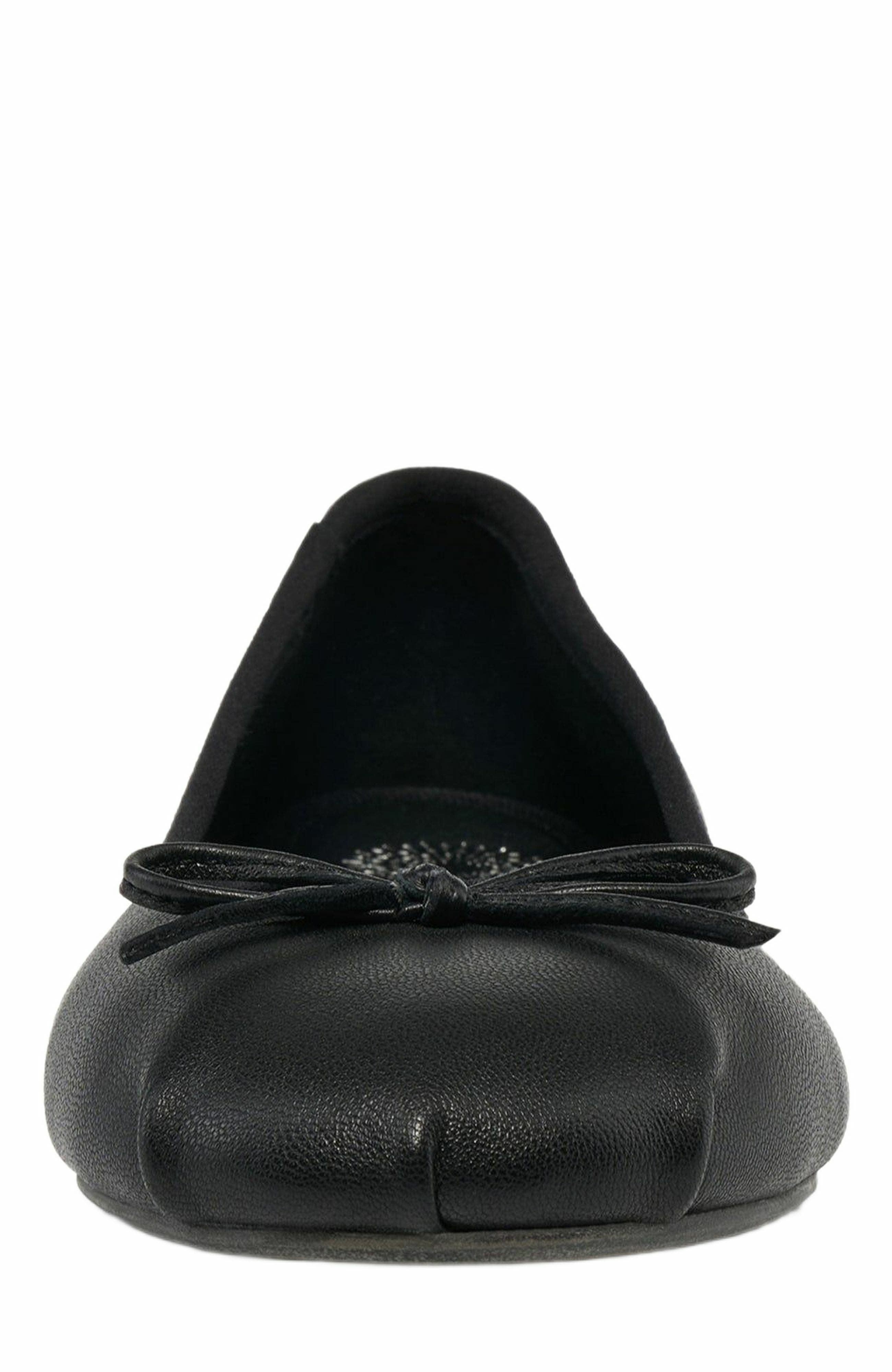 Grace Footwear Reims Ballerina, Alternate, color, Black