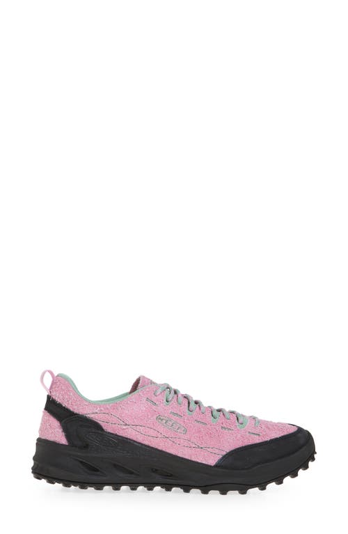 Keen Jasper Zionic Hiking Sneaker In Moonlight Mauve/granite Green