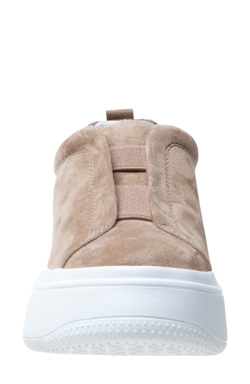 Shop Linea Paolo Golde Platform Sneaker
