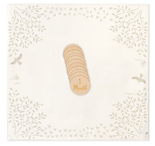 Just Born Milestone Gift Set