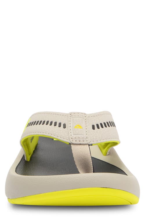 REEF REEF SWELLSOLE CRUISER FLIP FLOP