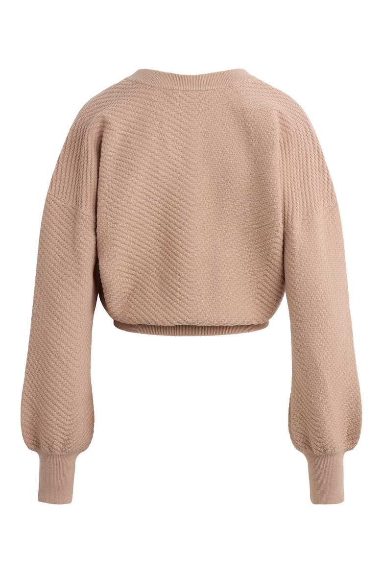 The Ava Crop Sweater, Alternate, color, MOCHA