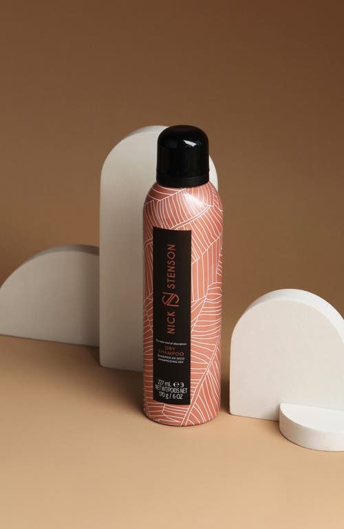 Nick Stenson Beauty Dry Shampoo Try-me