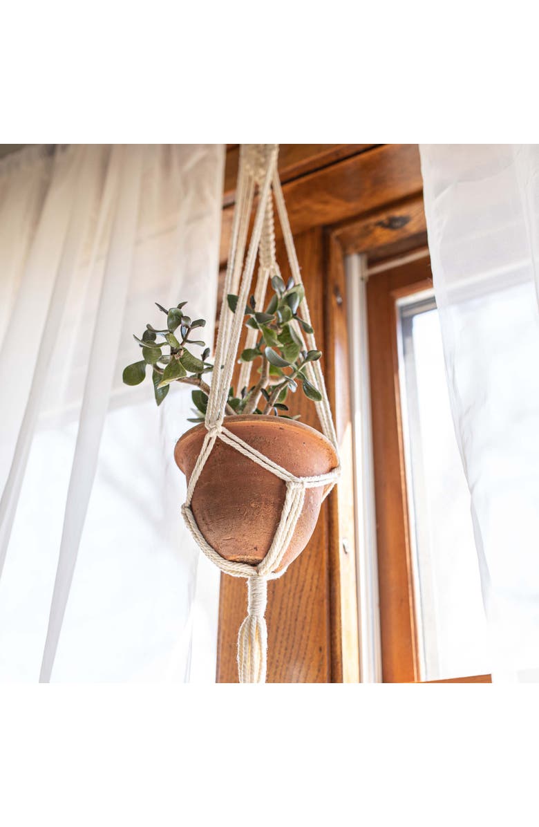 Foreside Home and Garden Macrame White Cotton Plant Hanger Rope 47", Alternate, color, White