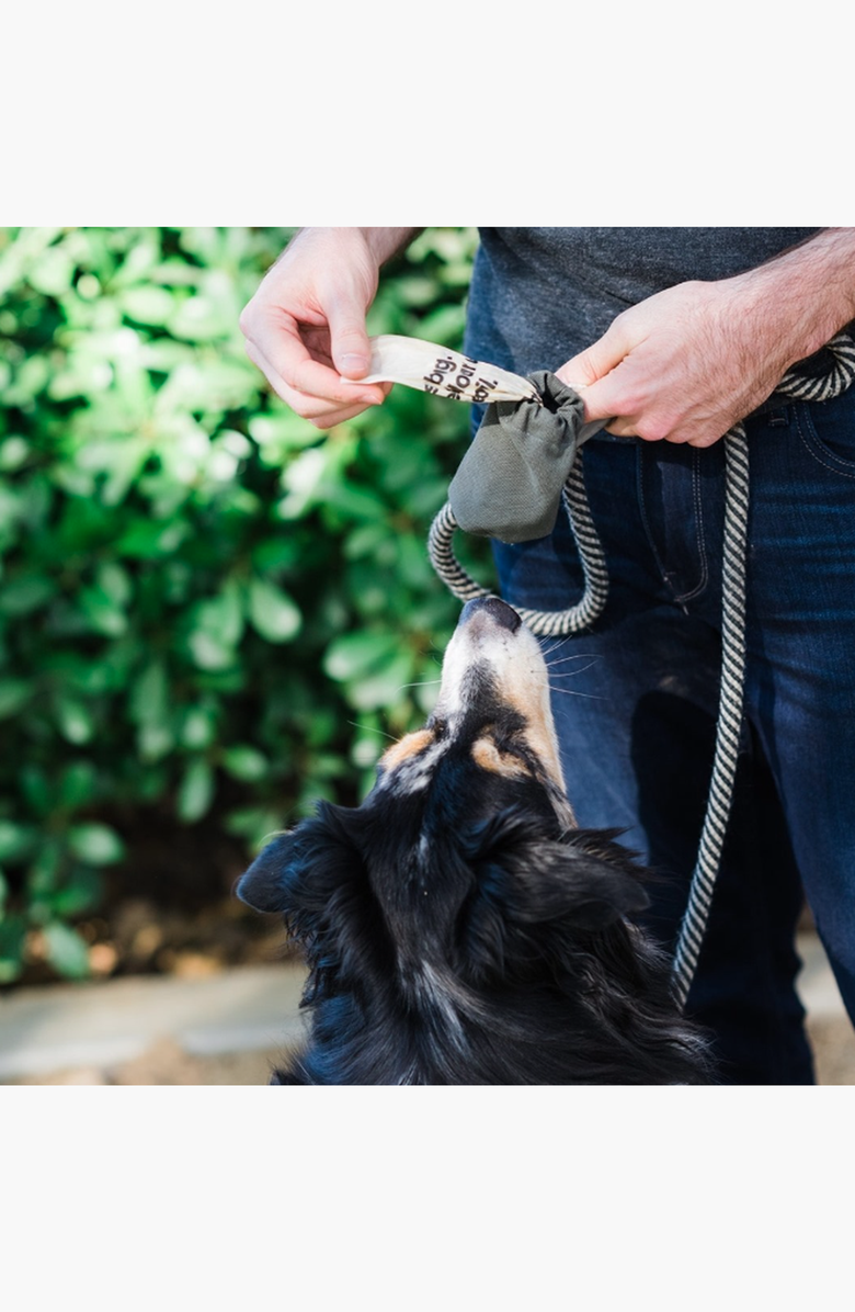 The Kind Pet Dog Poop Bag Holder in Cotton | USA Made, Alternate, color, Desert Grey