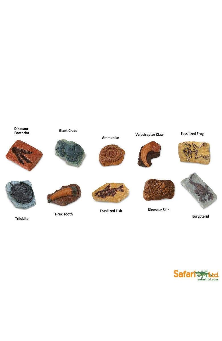 Safari Ltd. Ancient Fossils Toy, Alternate, color, NO COLOR