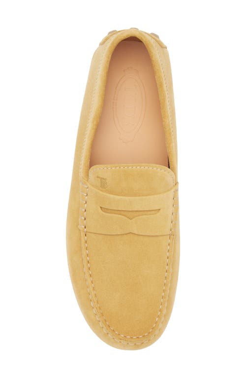 Tod's Gommino Bubble Suede Driving Shoe