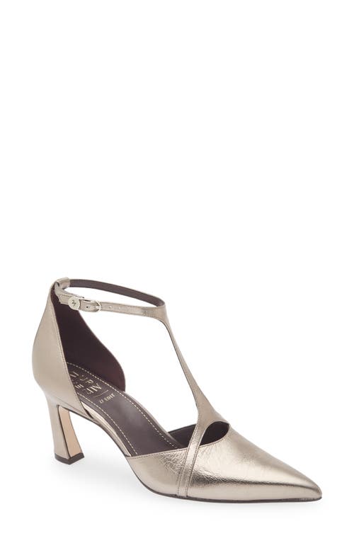 27 Edit Naturalizer Ezlyn T-strap Pointed Toe Pump In Gray