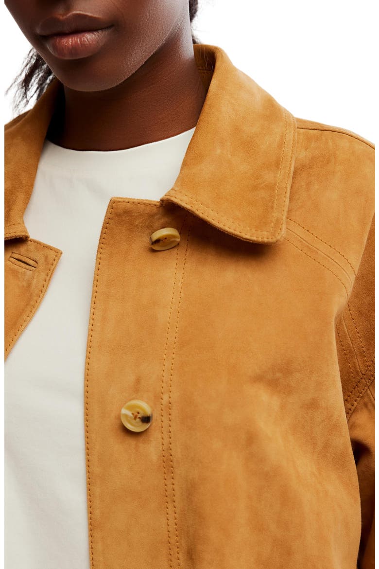 Annalise Suede Jacket, Alternate, color, CHESTNUT