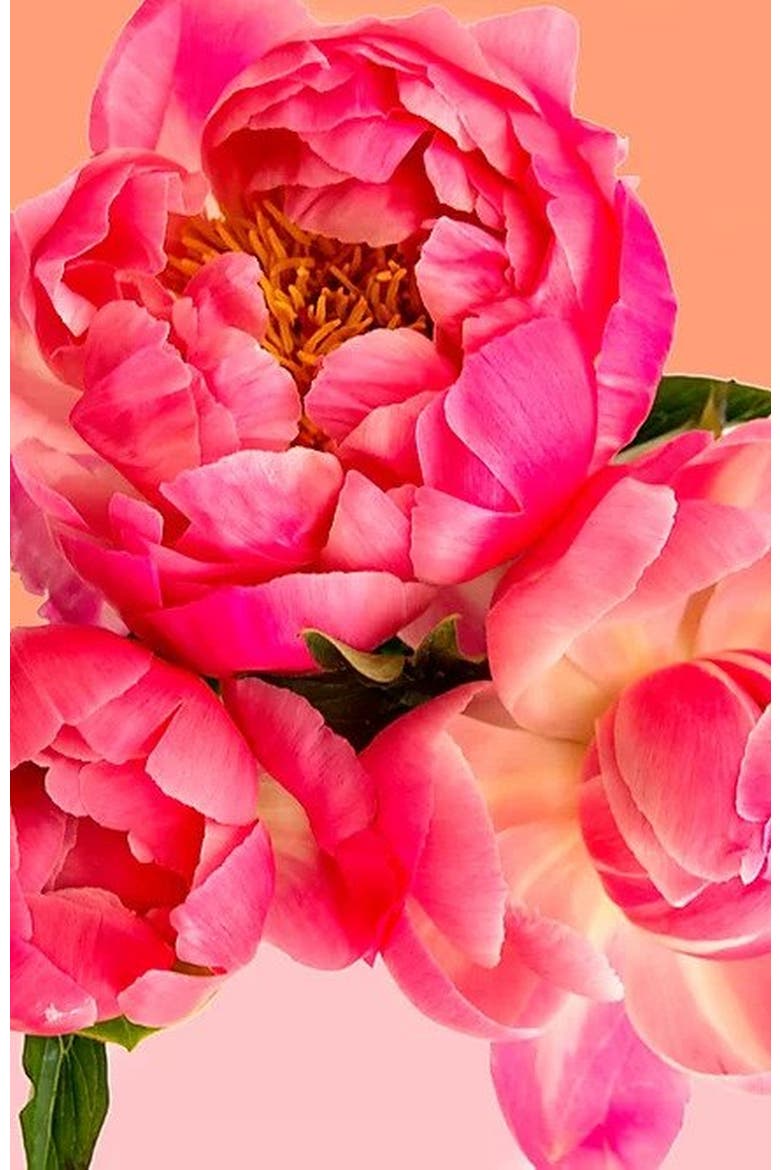 Petal Power Paint by Numbers Kit, Alternate, color, Pink / Peach
