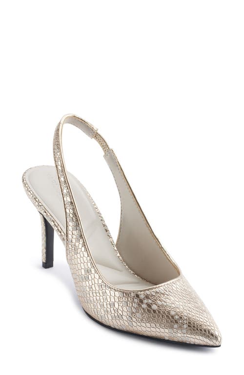 Karl Lagerfeld Rosalyn Pointed Toe Slingback Pump