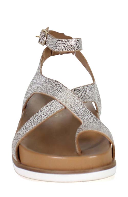 Diba True Carn Ival Ankle Strap Toe Loop Sandal In Gold