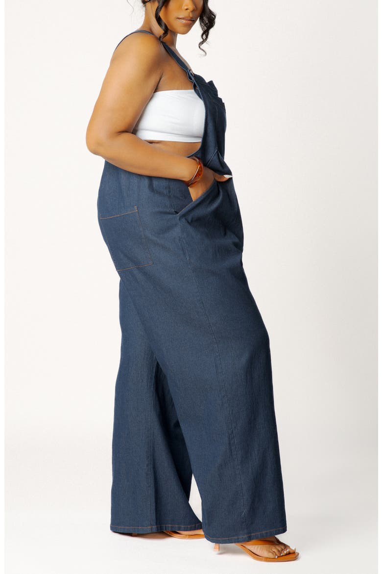 Wide Leg Denim Jumpsuit, Alternate, color, DENIM BLUE