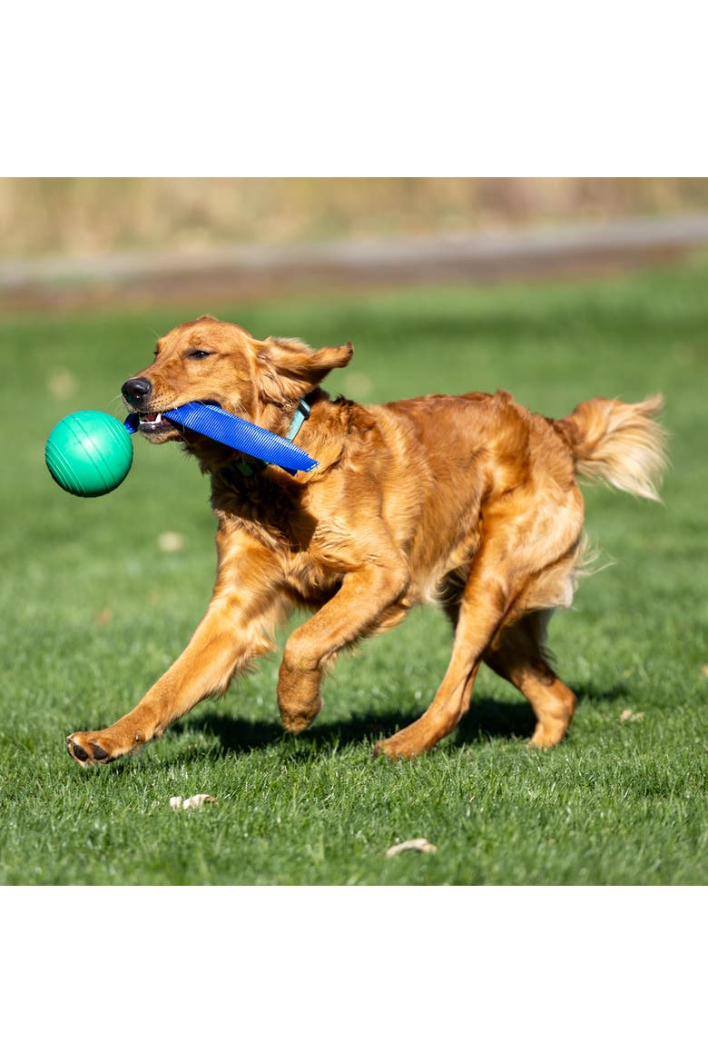 KoreFlex Ball & Tail, 4.75 Inches, Green, Dog Toy, Alternate, color, Green
