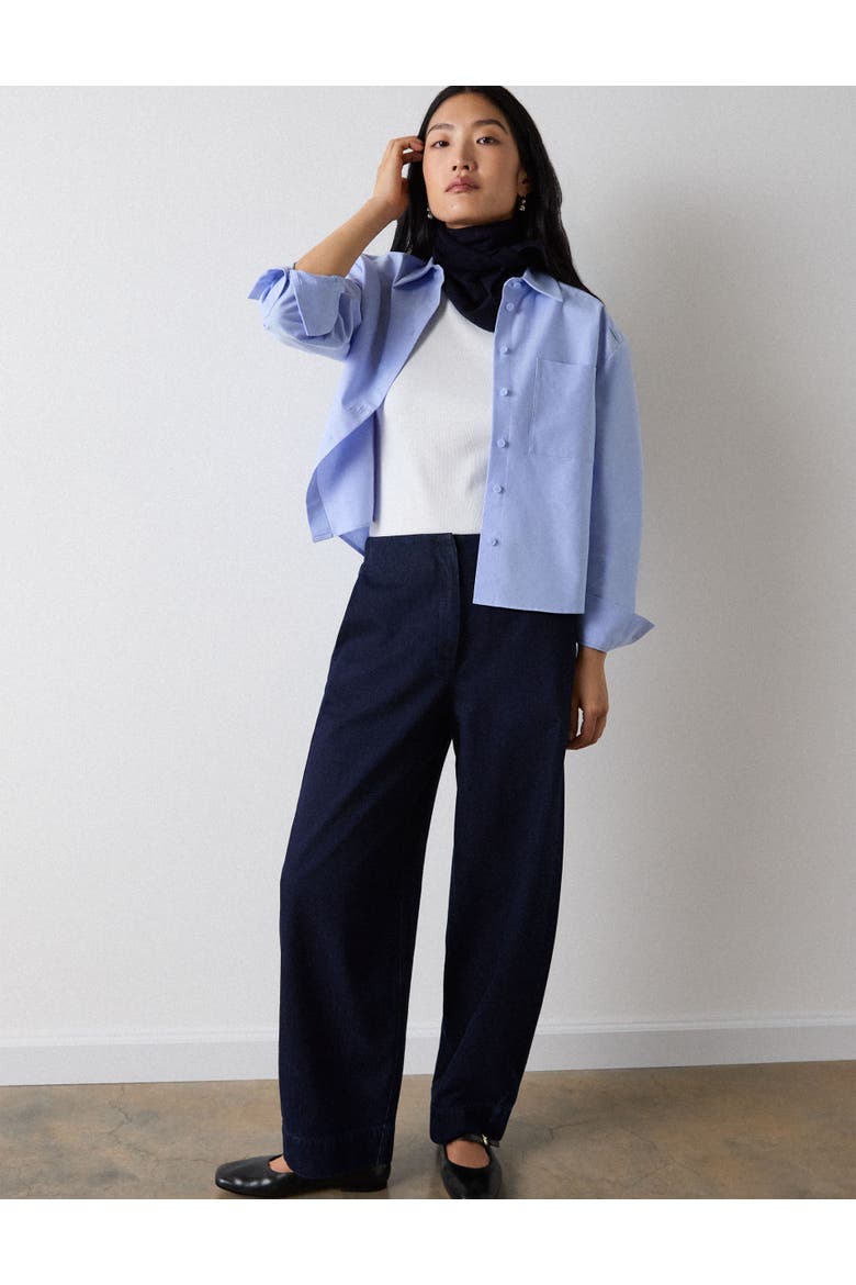 Boxy Oxford Cotton Shirt, Alternate, color, Pale Blue