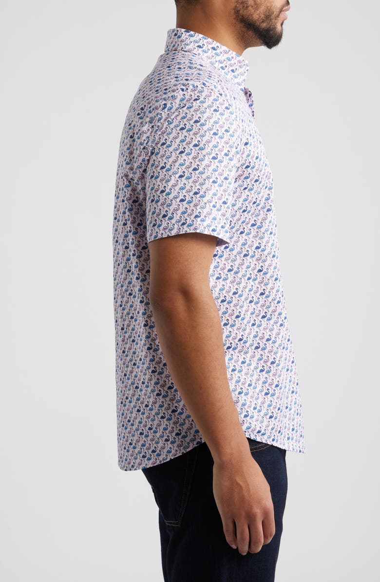 Johnston & Murphy Logan Flamingo Print Short Sleeve Cotton Blend Button-Up Shirt, Alternate, color, Pink / Blue Flamingos