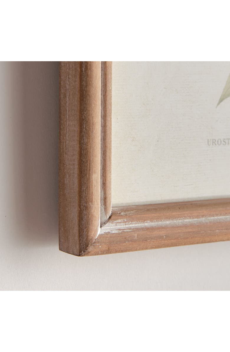 Napa Home & Garden Hummingbirds In Blooms Study, Set Of 8 - Multicolor Prints, Alternate, color, 