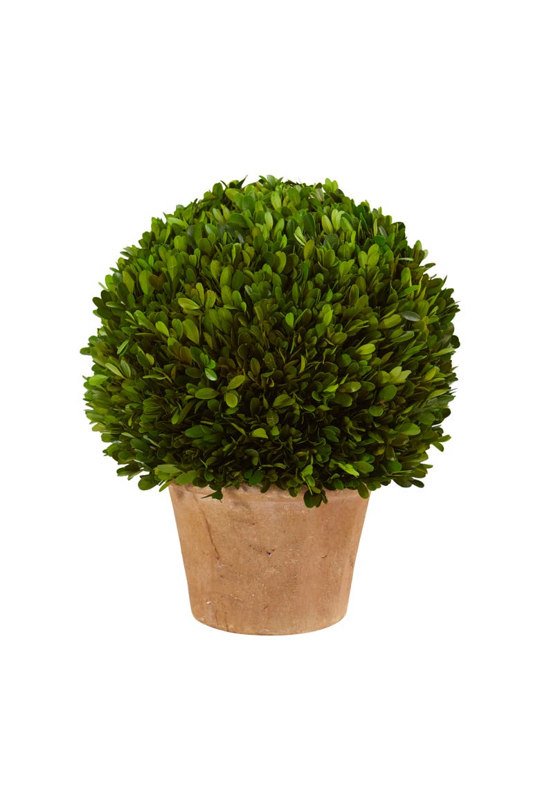 15-in Boxwood Ball Preserved Plant in Planter, Main, color, Green