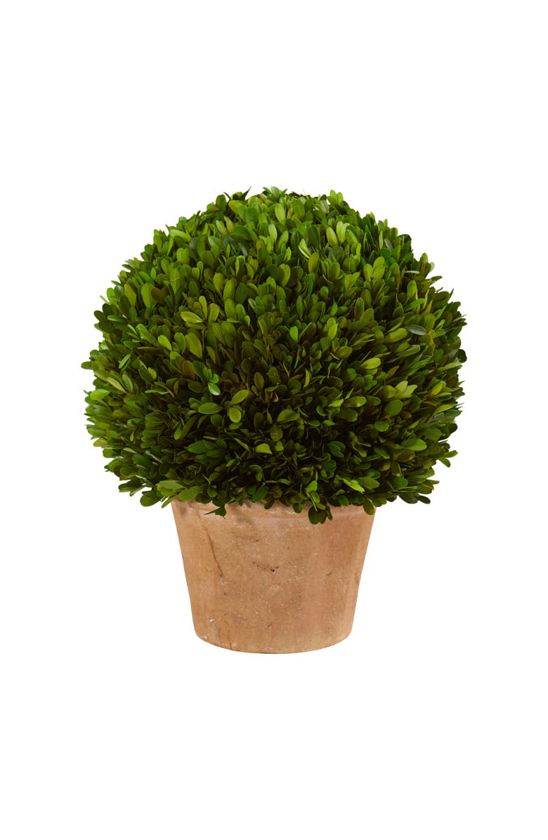 NEARLY NATURAL 15-in Boxwood Ball Preserved Plant in Planter, Main, color, Green