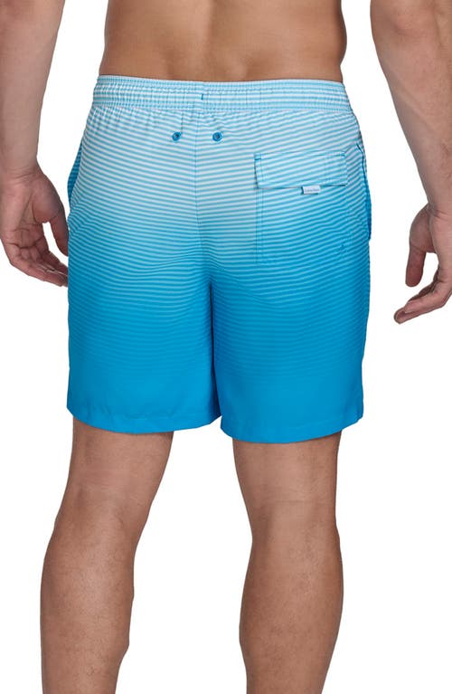Calvin Klein Graphite Stripe Core Volley Swim Trunks In Blue
