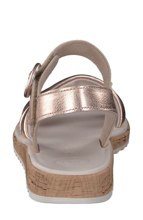 Paul Green Teegan Sandal In Rost Np Me
